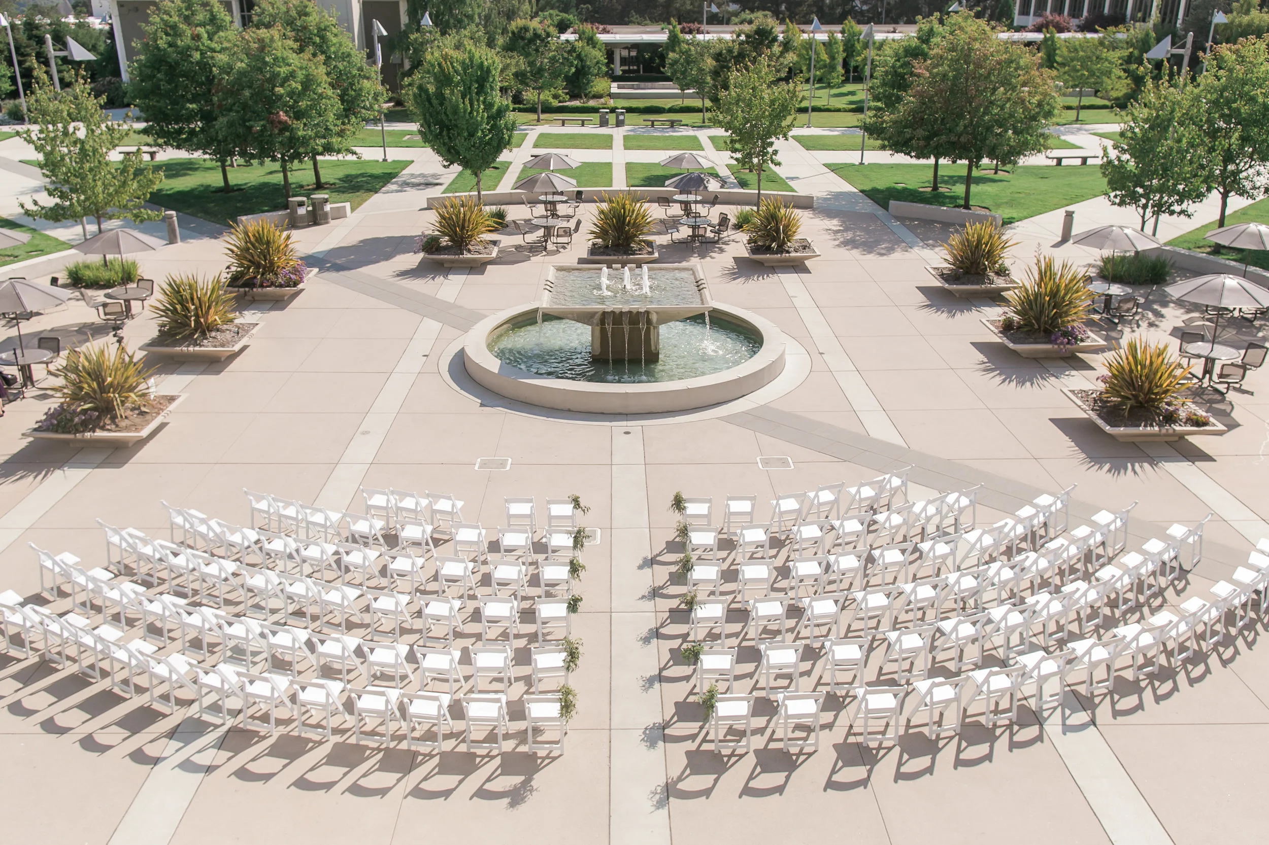 College of San Mateo - Michelle Chang Photography