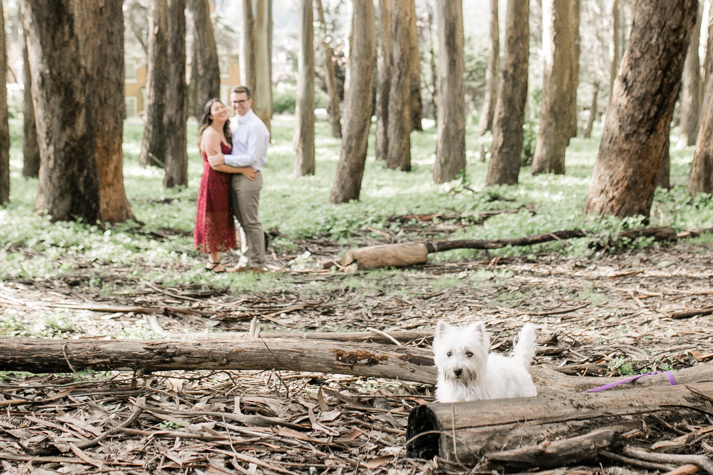 michellechangphotos_JackieandRobEngagement-17.jpg