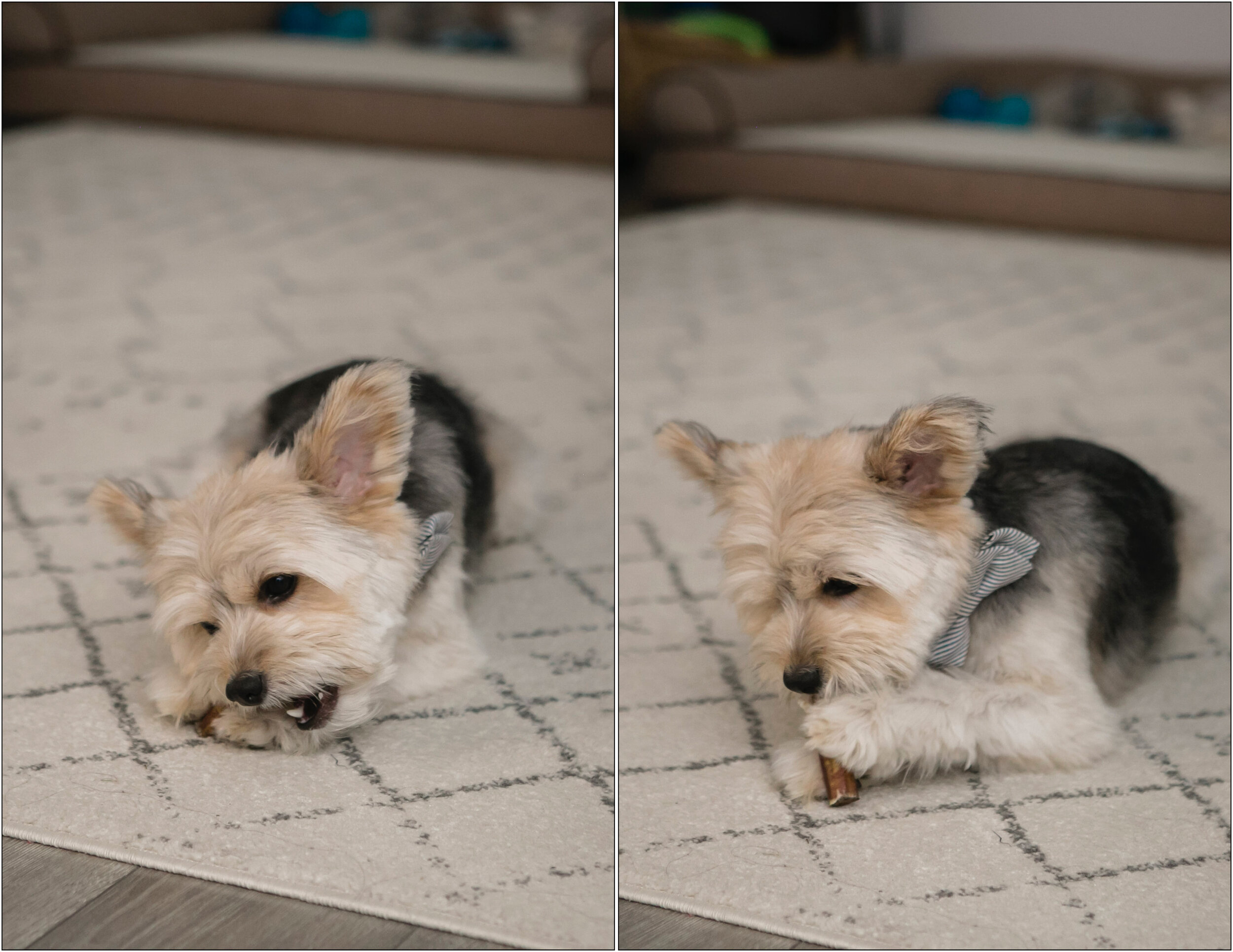 Michelle Chang Photography - San Francisco Wedding Photographer