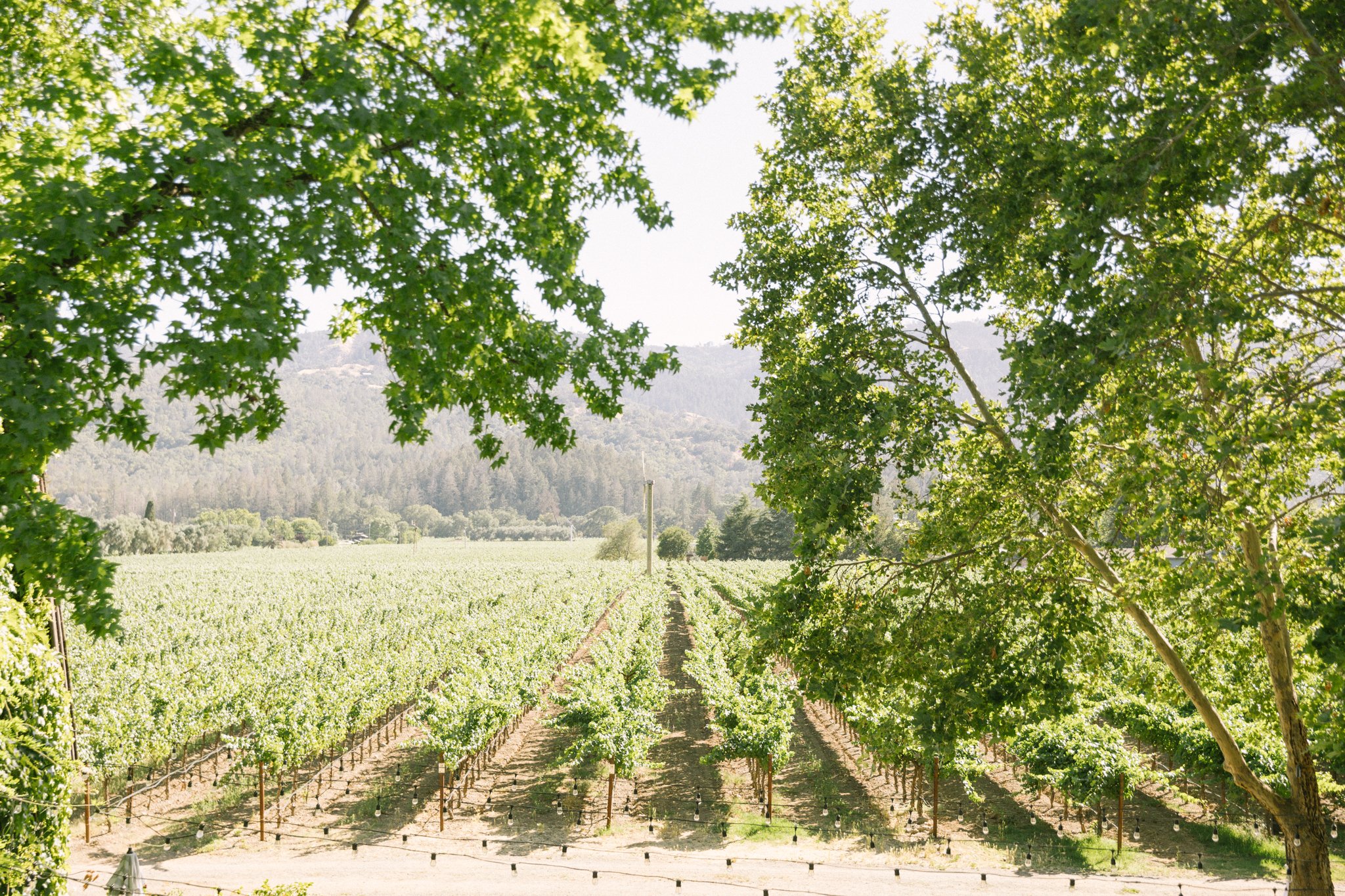 Wedding at the Harvest Inn, St. Helena