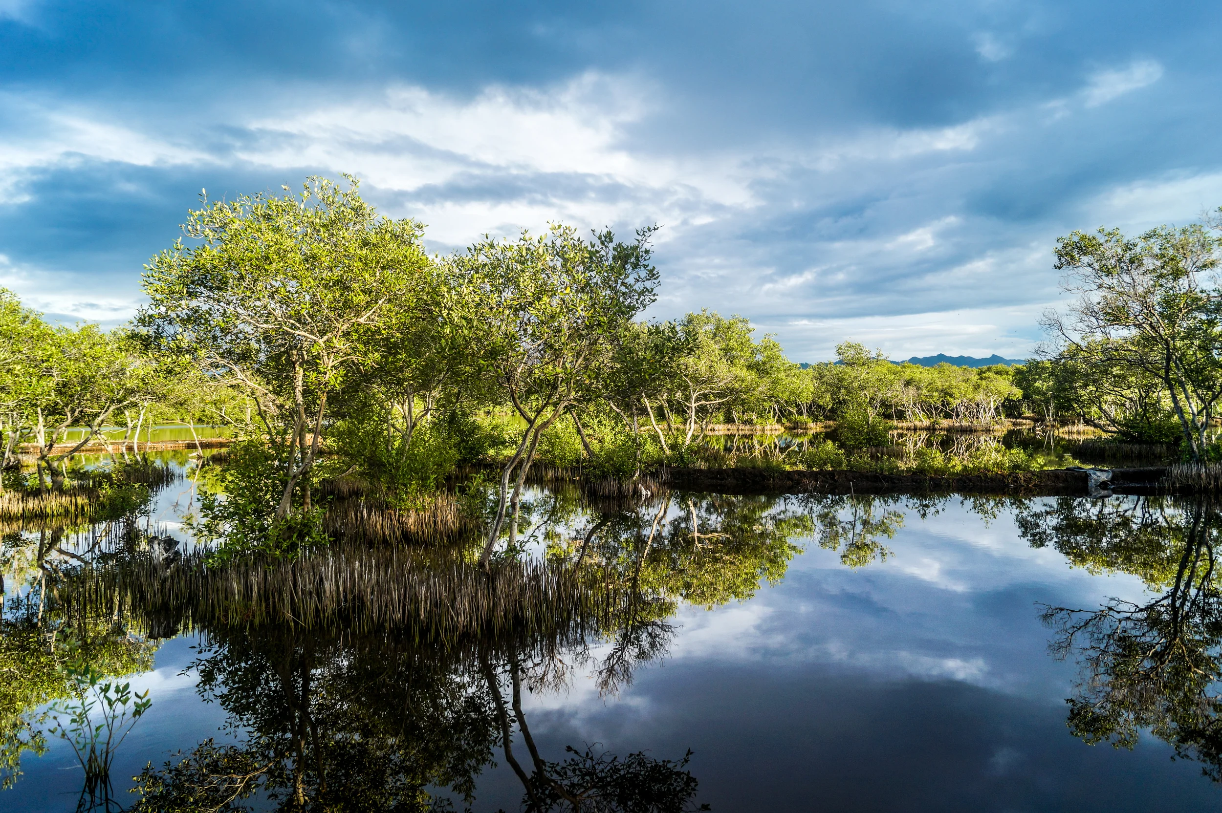 Salt water lake