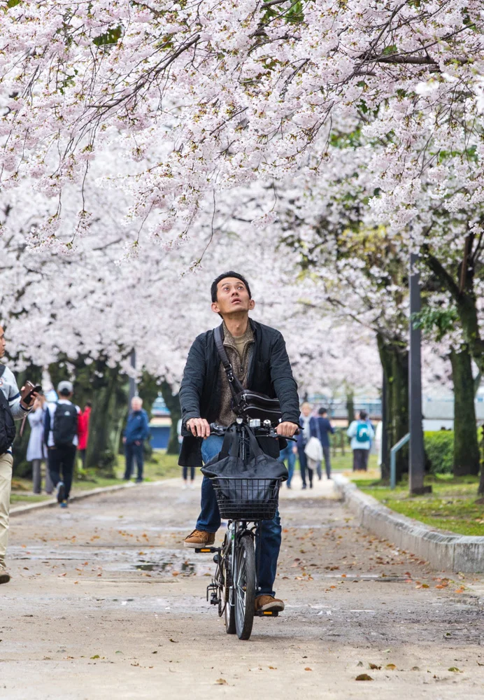 japan-hiroshima-3.jpg