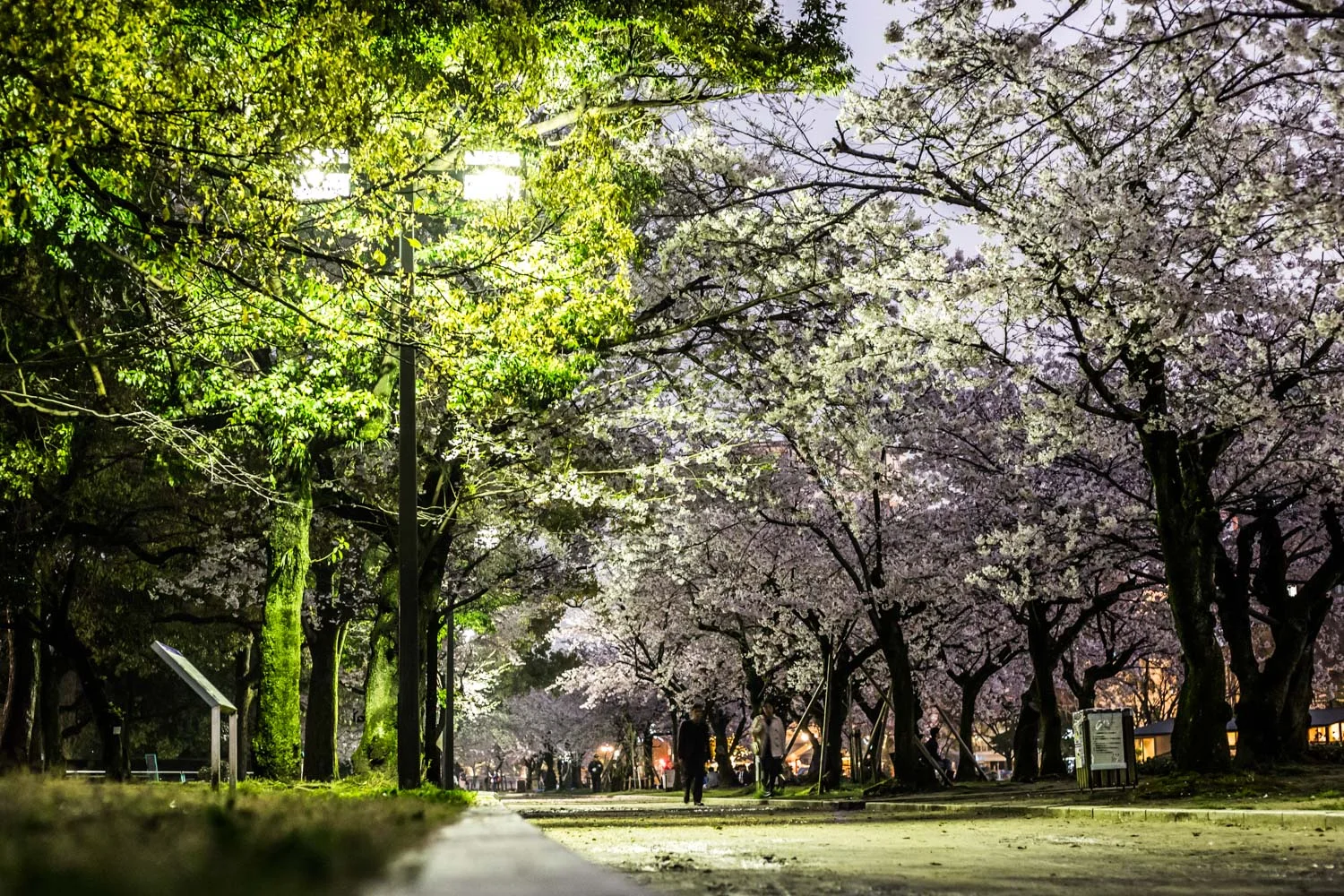 japan-hiroshima-10.jpg