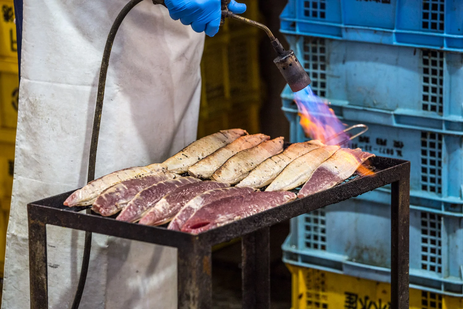 japan-osakafish-14.jpg