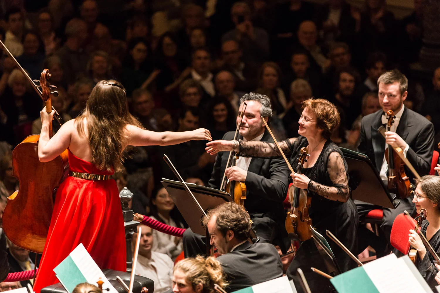 concertgebouw-nedpho-1.jpg