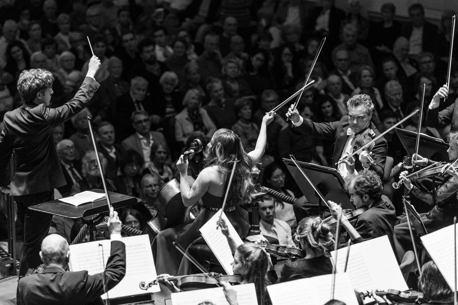 concertgebouw-nedpho-2.jpg