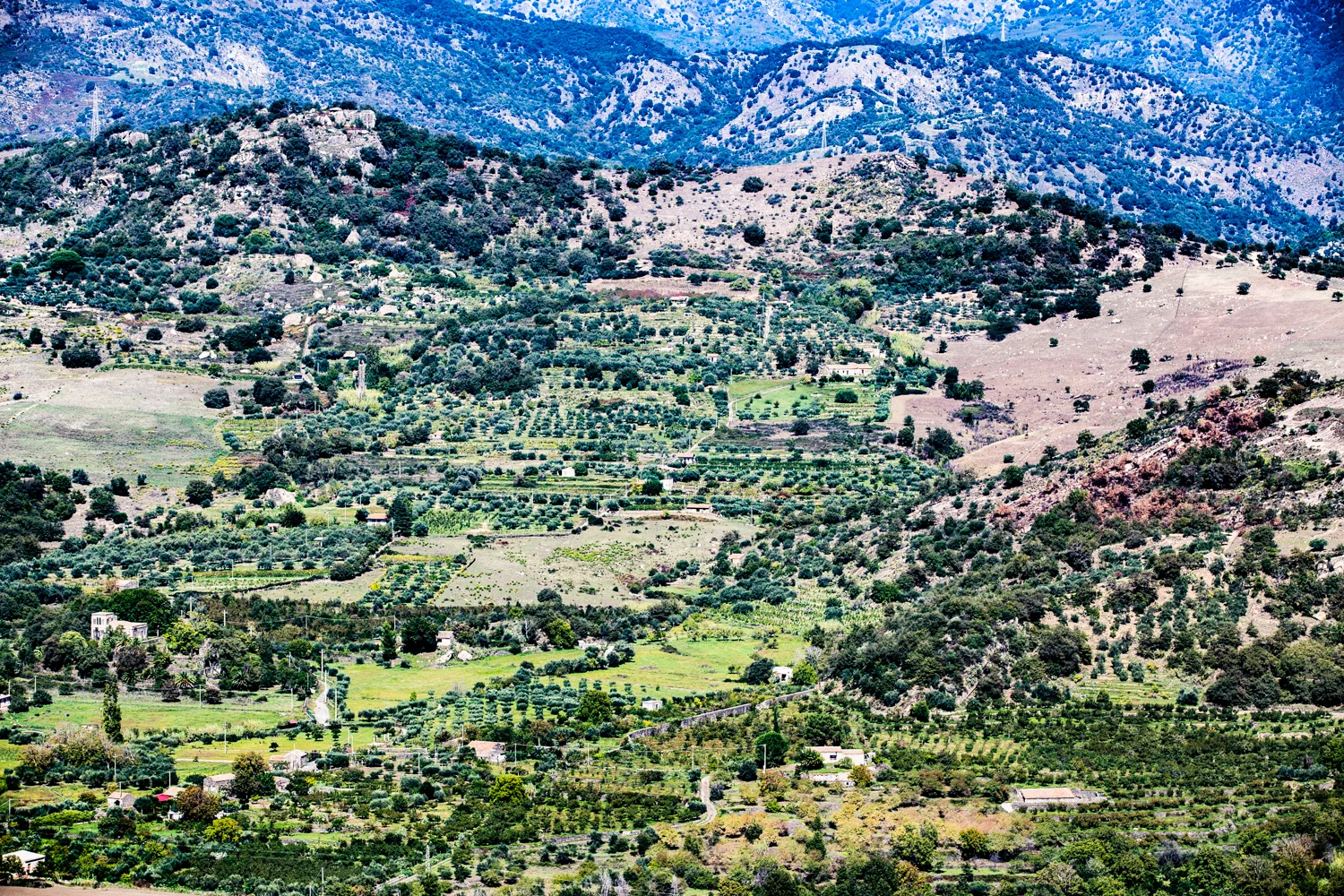 sicilia_lowres-2.jpg