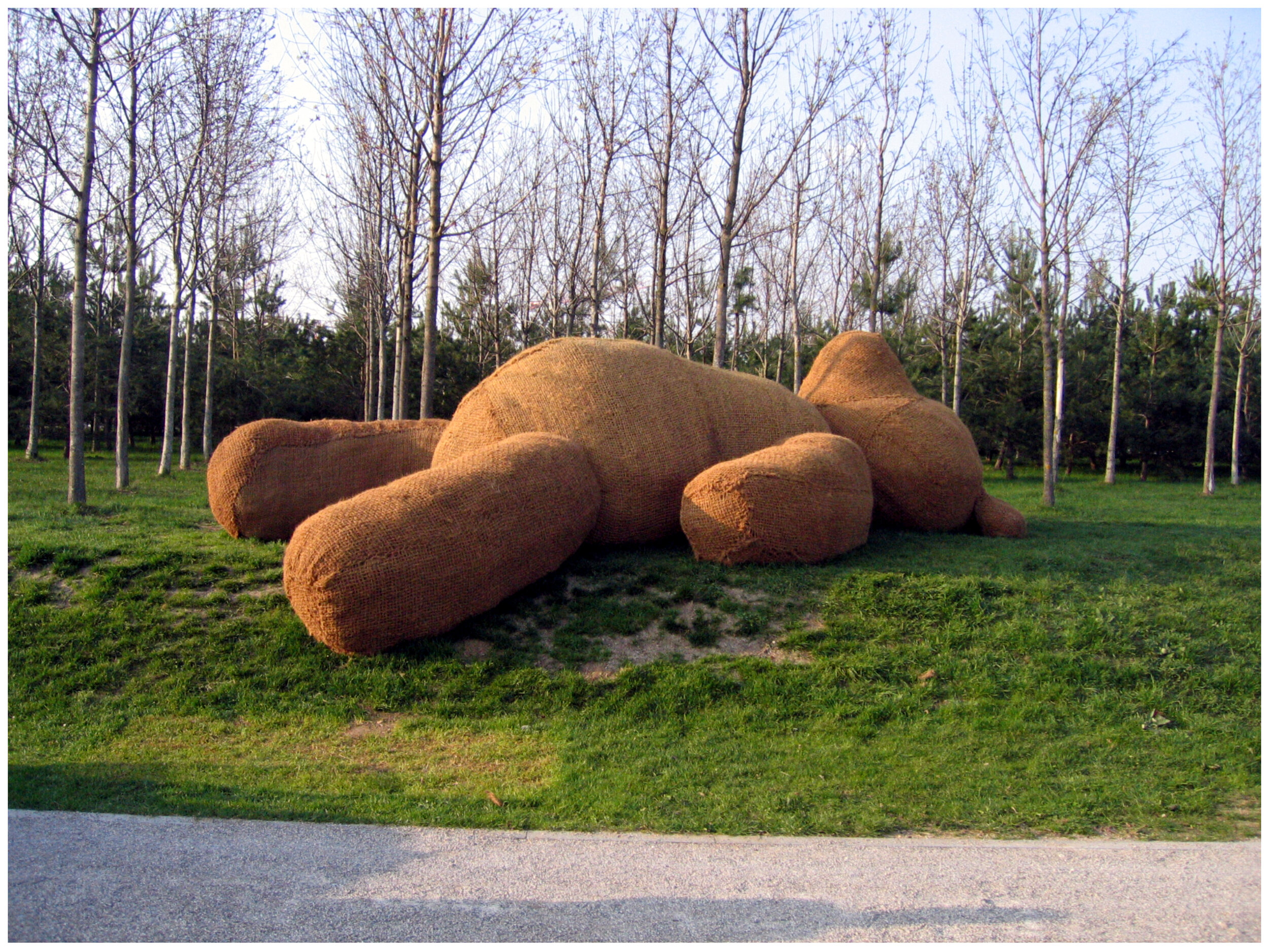 “Teddyberg”, 2005