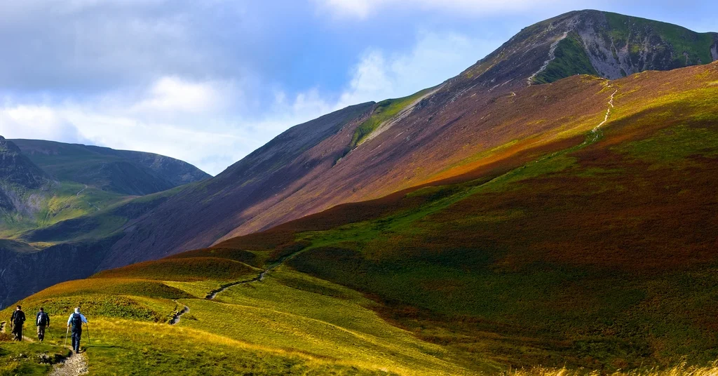 Photo: Dan Cook , Creative Commons