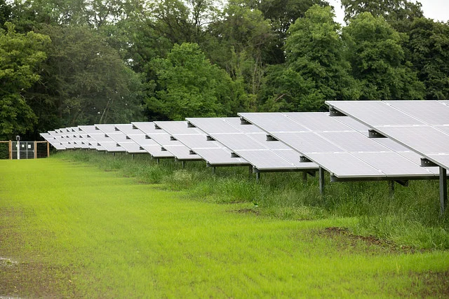 The solar farm was switched on in March.