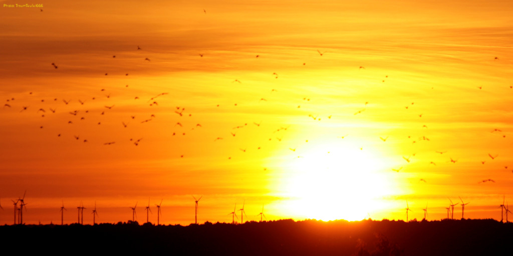 Photo: TraumTeufel666 , Creative Commons