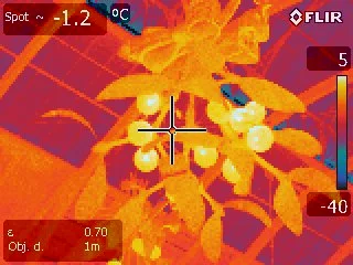 IR_1070.jpg