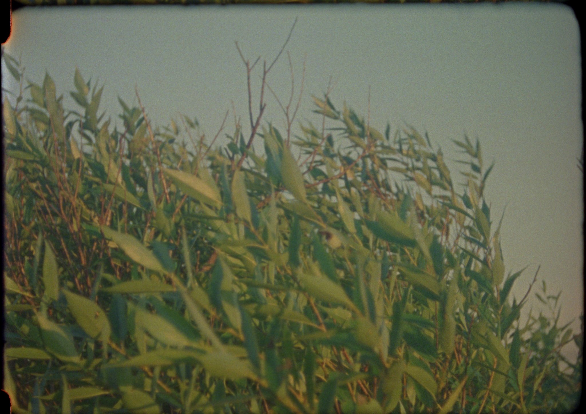 Still from Four Seasons: making the invisible visible project