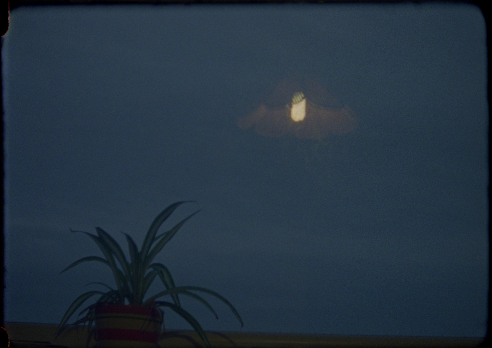 Still from Four Seasons: making the invisible visible project