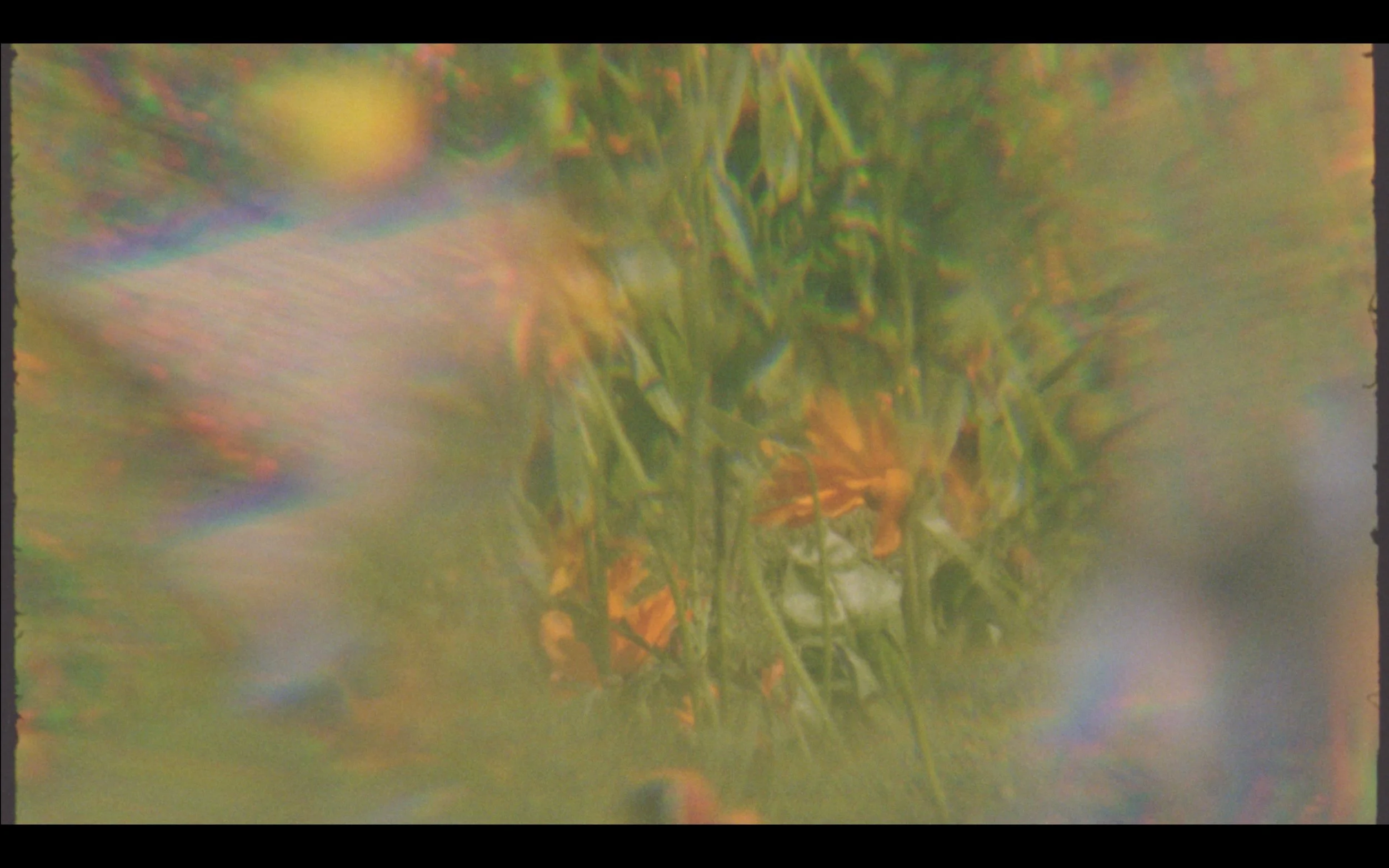 Image 09-08-2022 at 10.56.jpeg