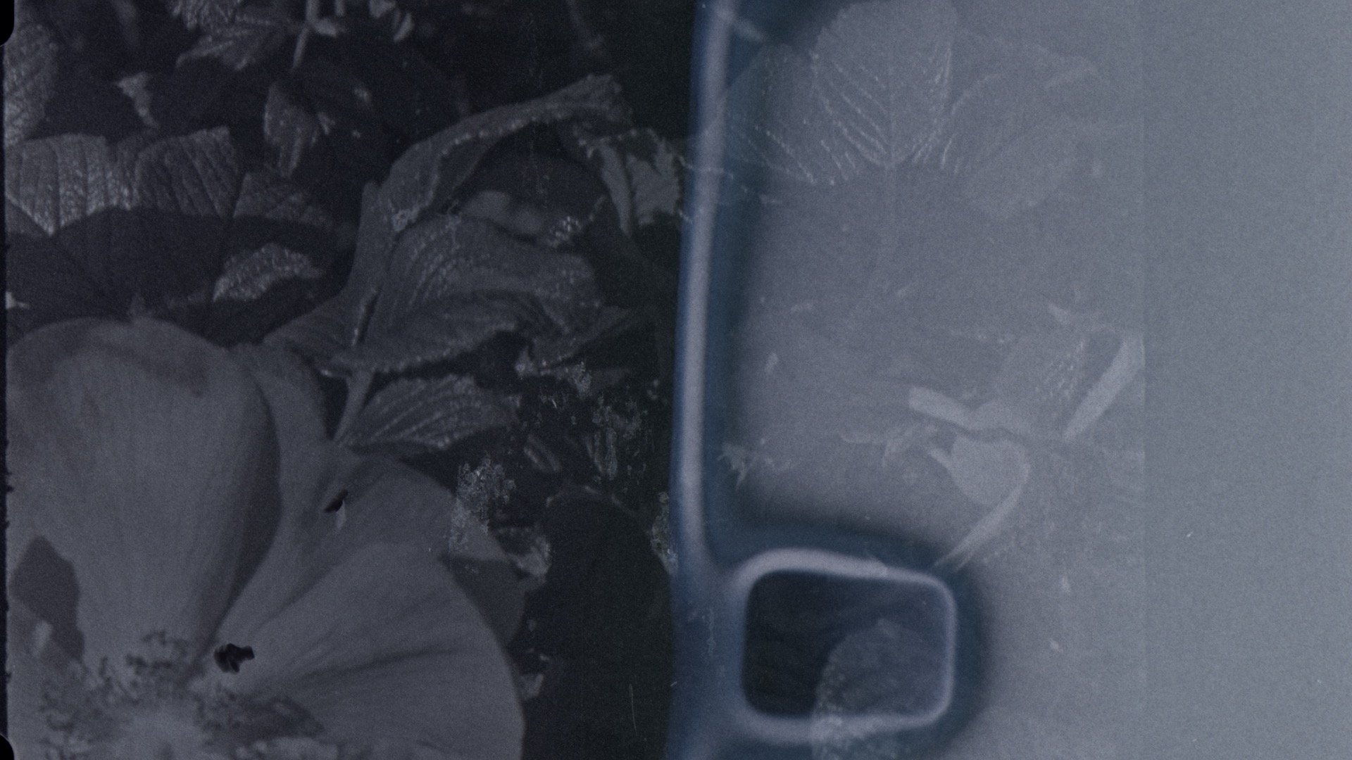 Movement Memories - still