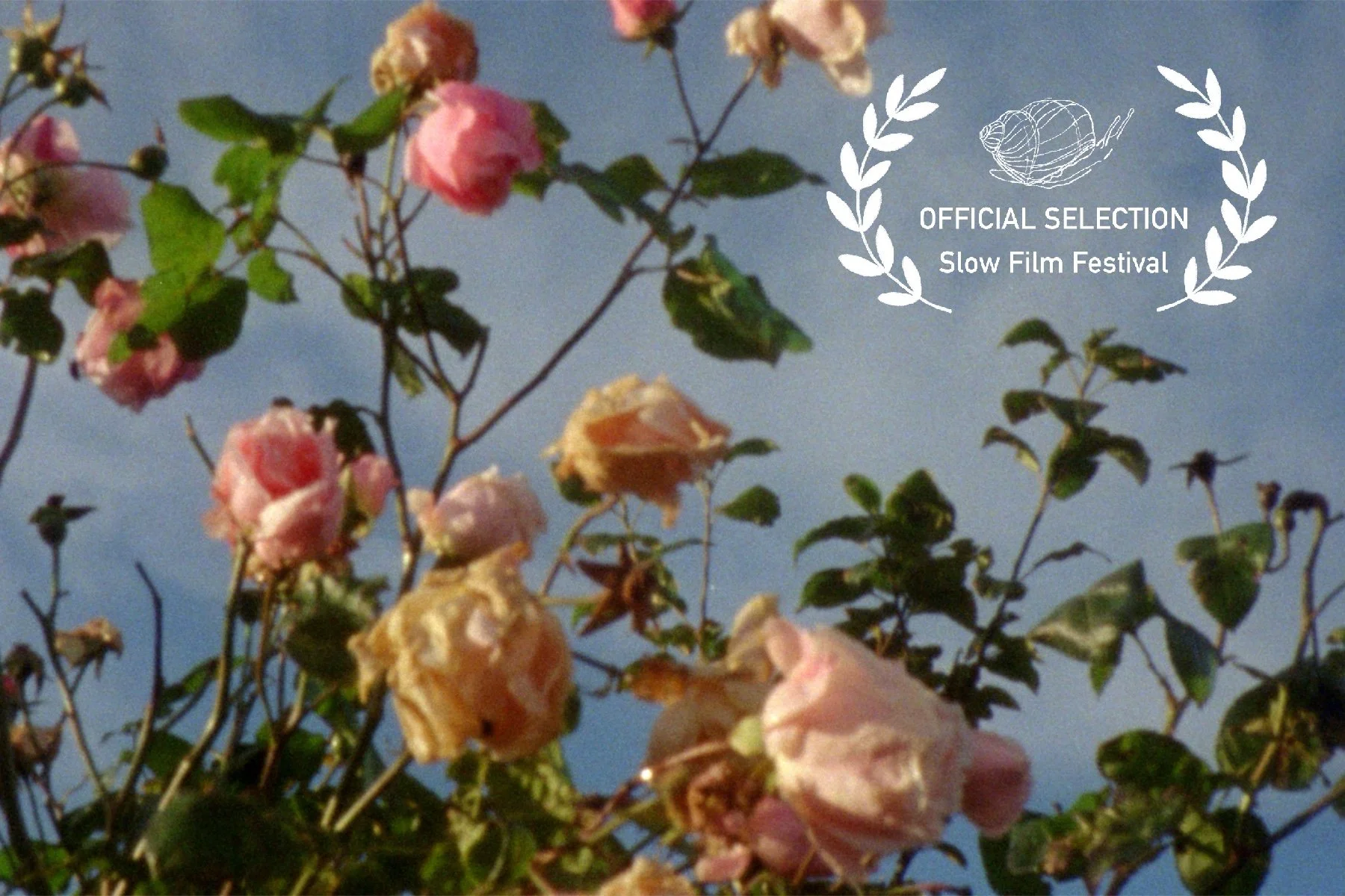 Still from Four Seasons - autumn