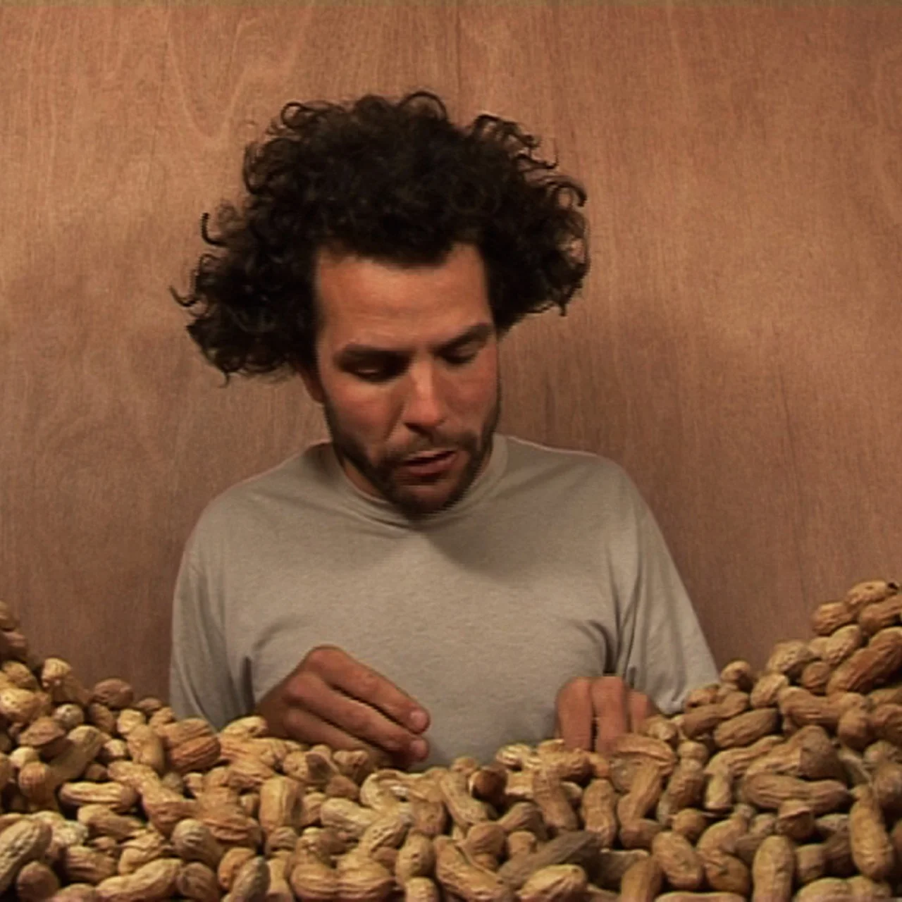 1WITHOUTnuts.jpg