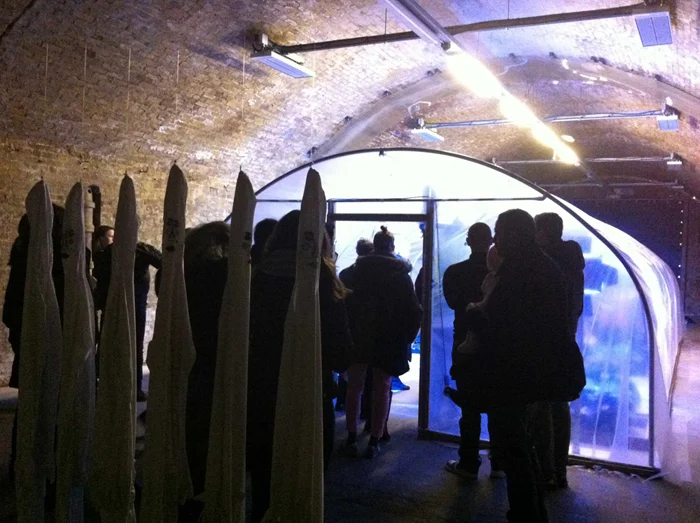 'Monoculture' Polytunnel 2013