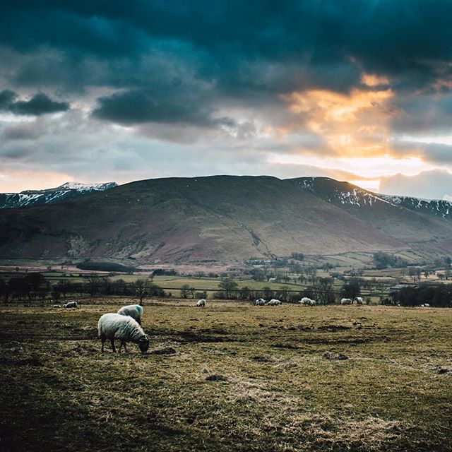 Quick trip upto Cumbria to shoot with @gusgreensmith 🐑🏔
.
.
@sonyalpha .
.

#lakedistrict #cumbria #sonyalpha #sonya7sii #zeegermans