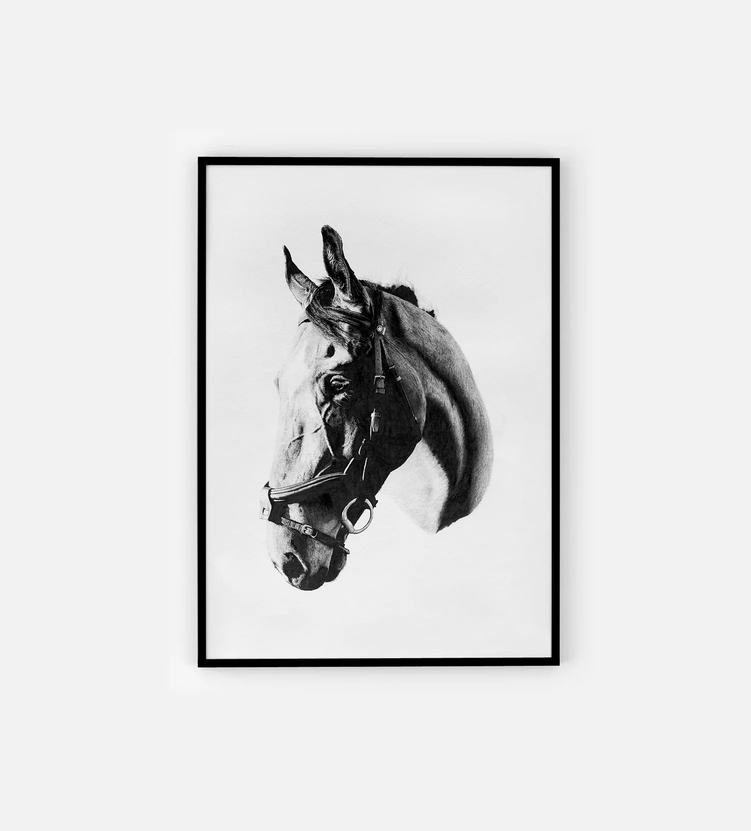 Hand drawn equestrian portrait portraiture commission photorealistic horse north east black and white