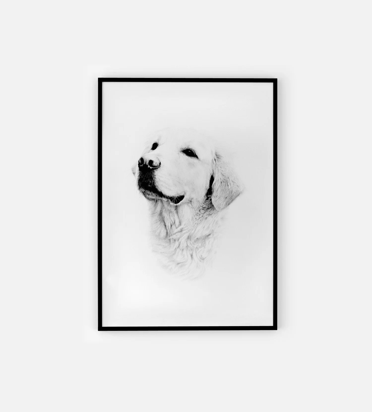 hand drawn pet portrait dog golden retriever commission pen and pencil black and white north east