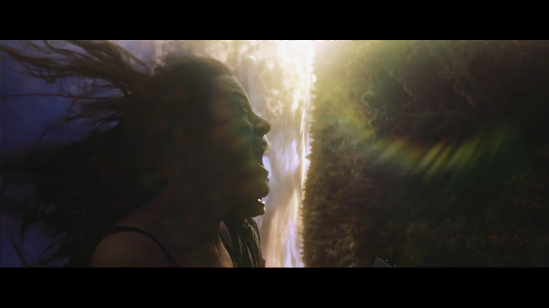 Wildfire - Reklamfilm-HD.mp4.00_00_44_21.Still002.png