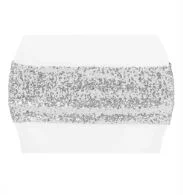 Silver Sequin
