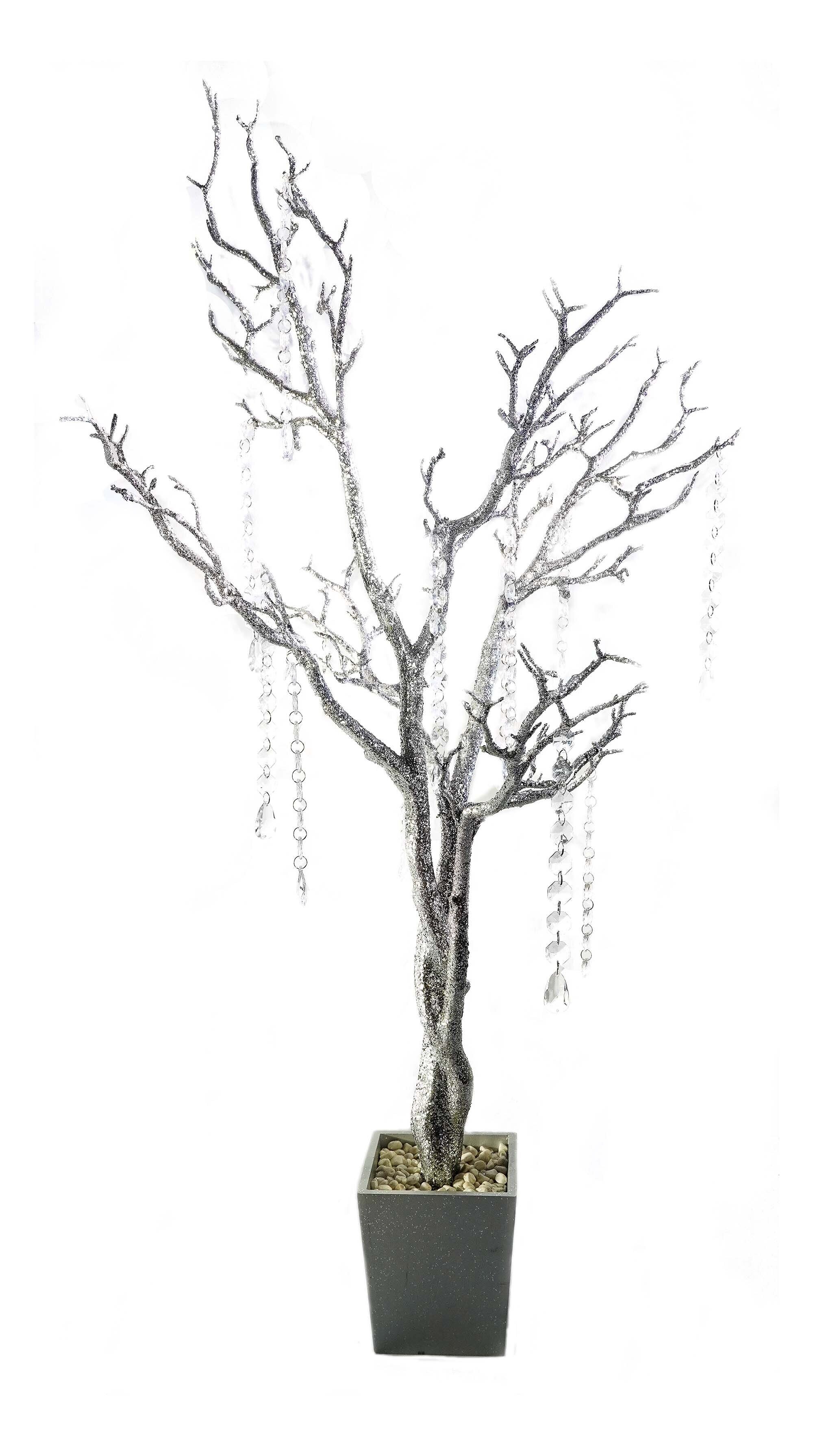 Silver Monzanita Tree