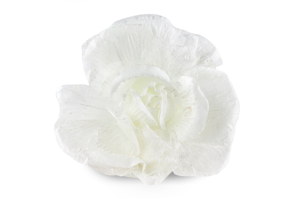 Oversized Flower (Ivory)