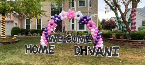 Birth Announcement Lawn Sign in Bolingbrook Area.