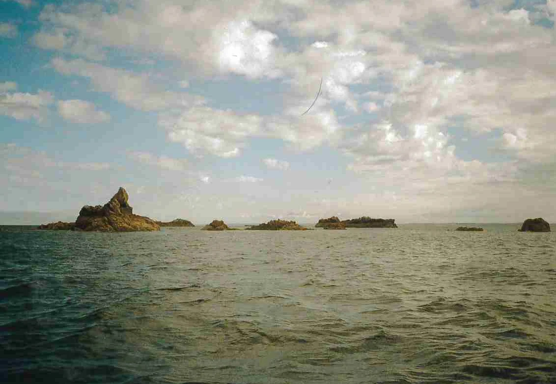 JERSEY HUIT.jpg