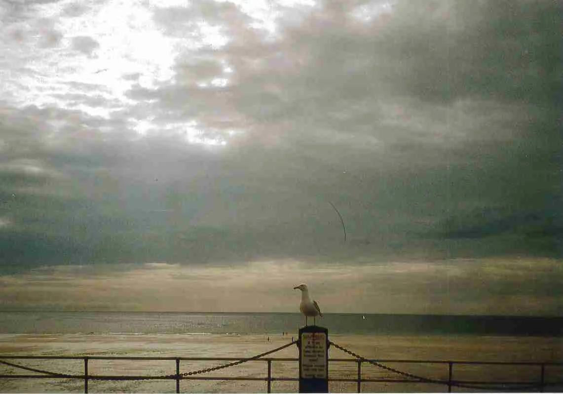 JERSEY SEPT.jpg
