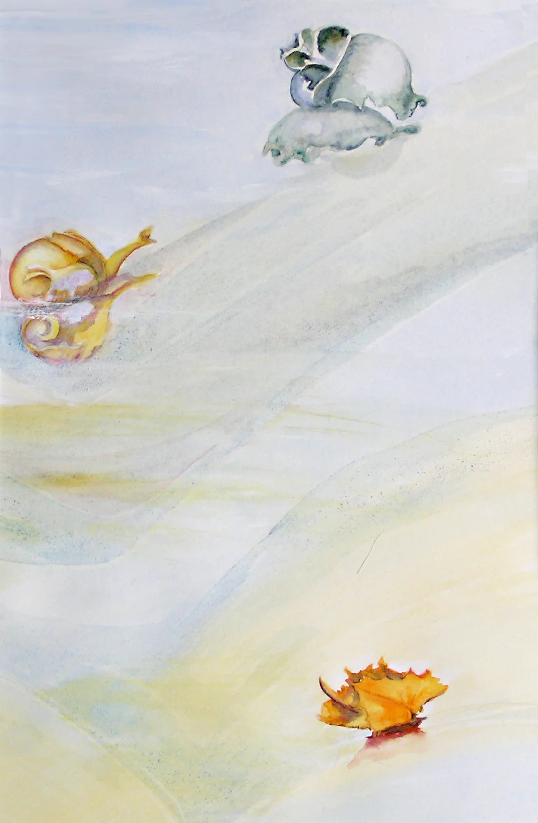 Seaweed V