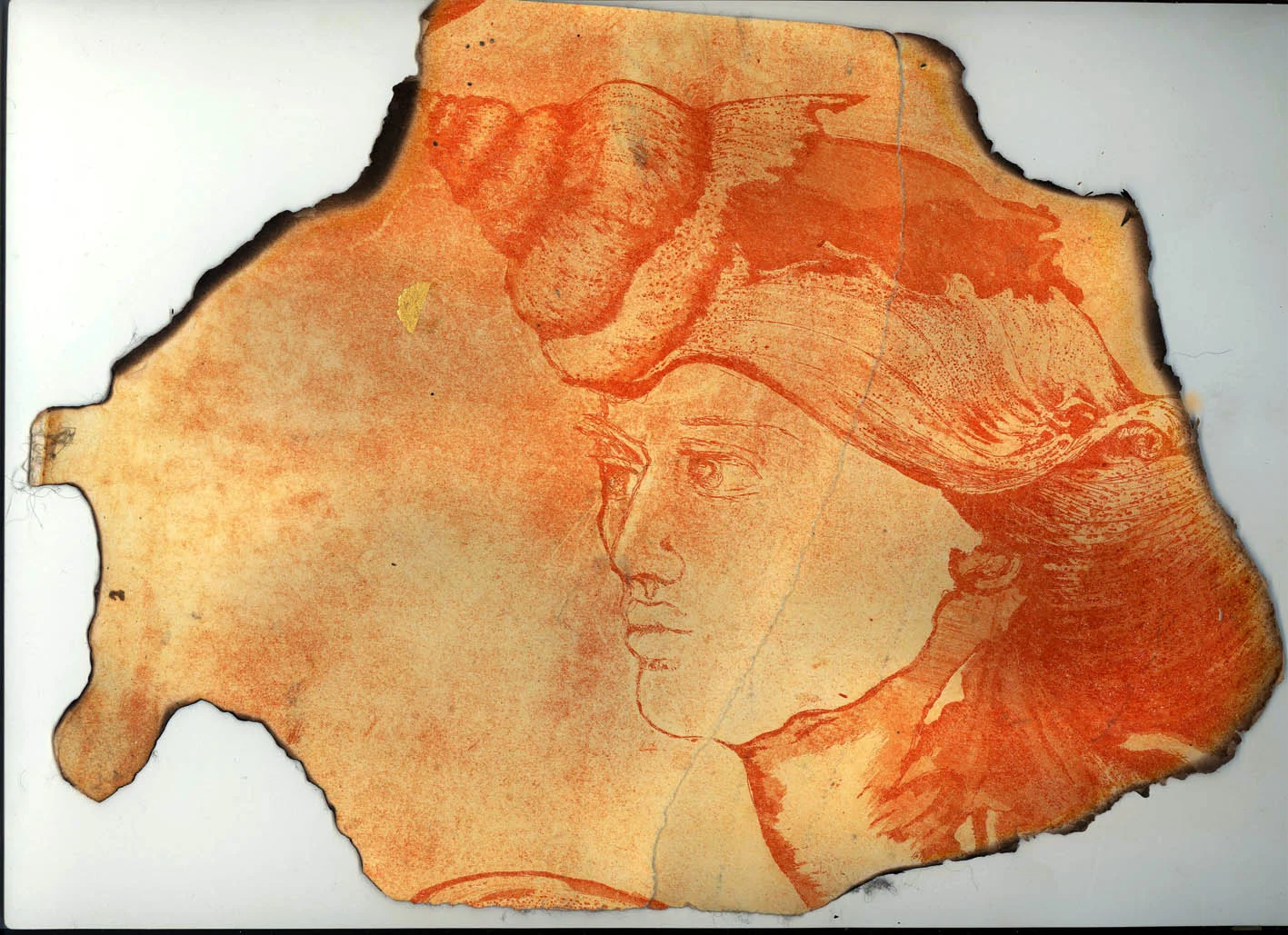 SHELL FACE