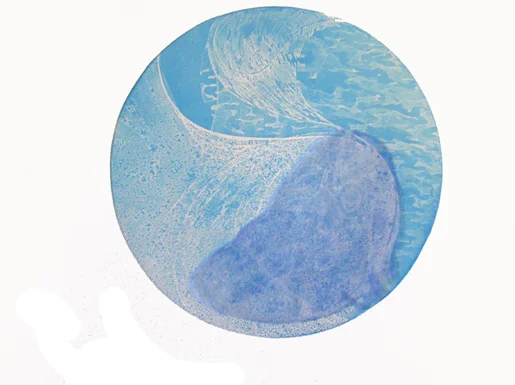 Circle of Flight