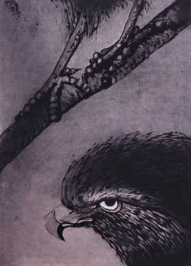 Hawk I