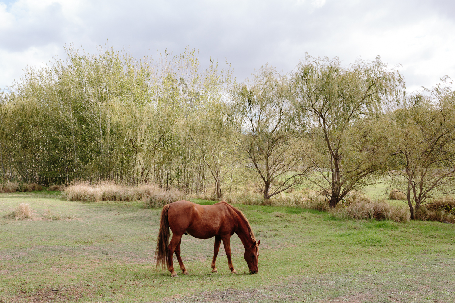 KOAPHOTOGRAPHY_MARINA&BAREND_ZORGVLIET-2.JPG