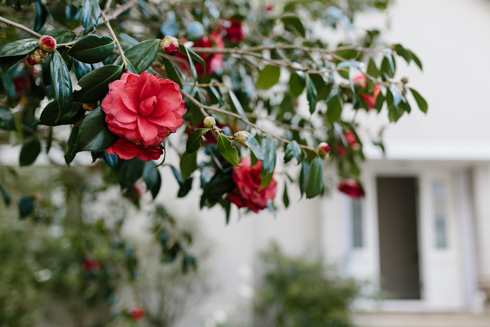 KOAPHOTOGRAPHY_ERIN+ROB-2014.jpg