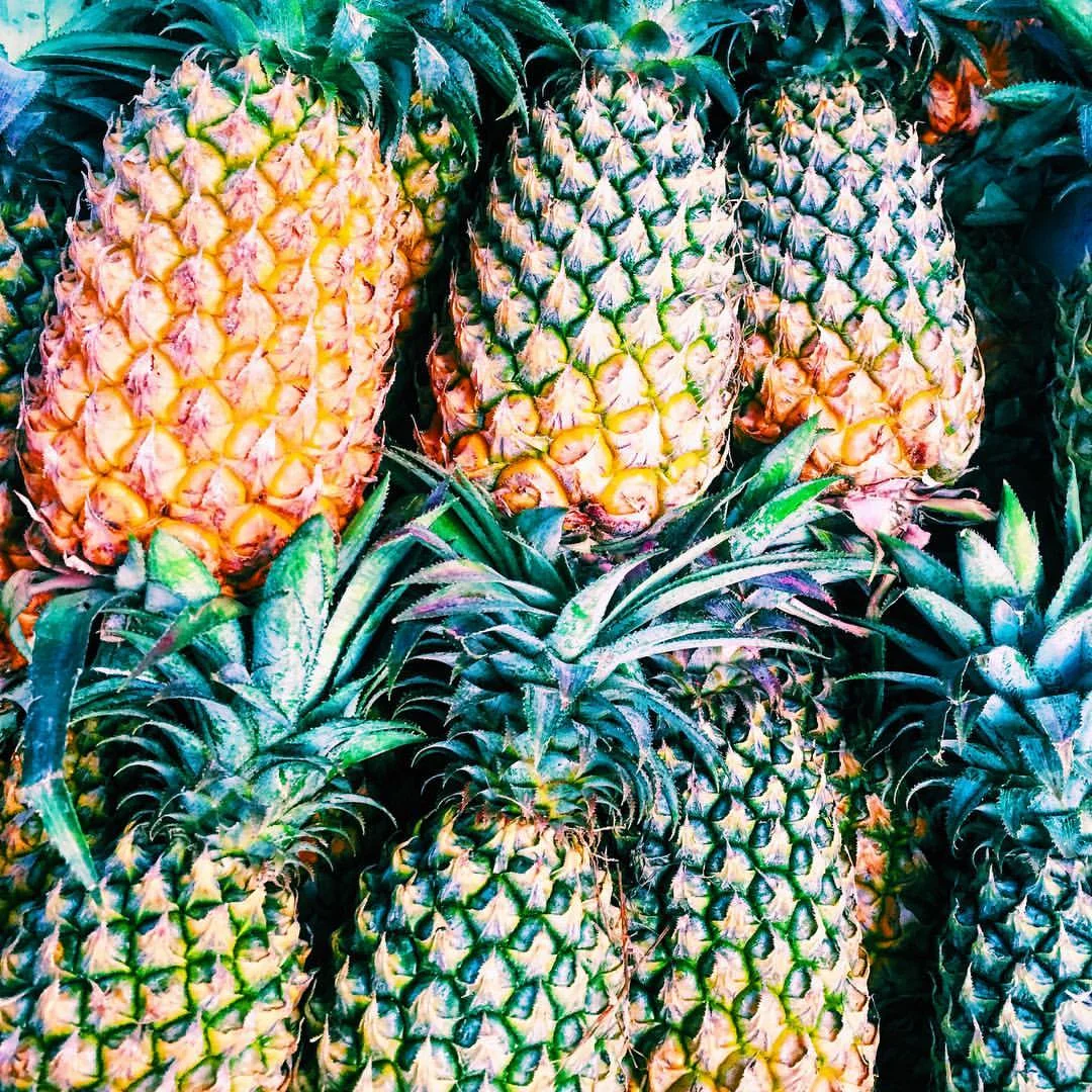 Pineapples in Chang Mai, Thailand. 