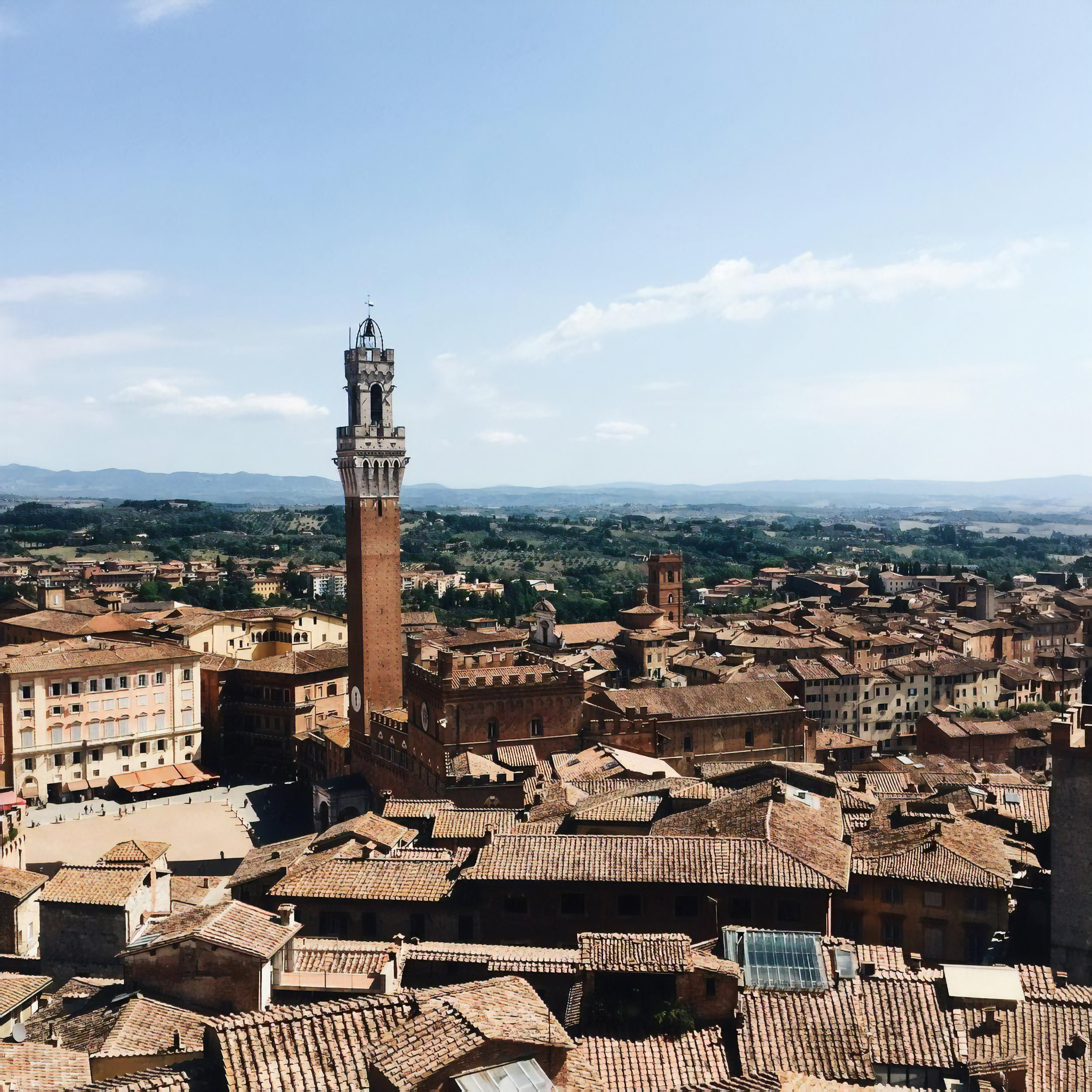  The view from the top of the Duomo in Siena, Italy 