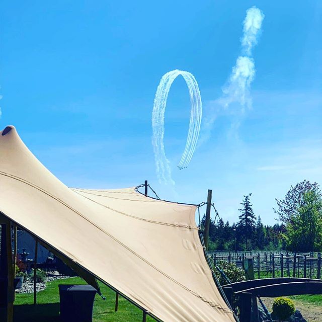 Watching the snowbirds @40knotswinery 2019
.
.
.
.
.
#snowbirds #snowbirds2019 #comoxvalley #planespotting #britishcolumbia #shadyspaces #stretchtents #beautifulbc #canada #canadianwine