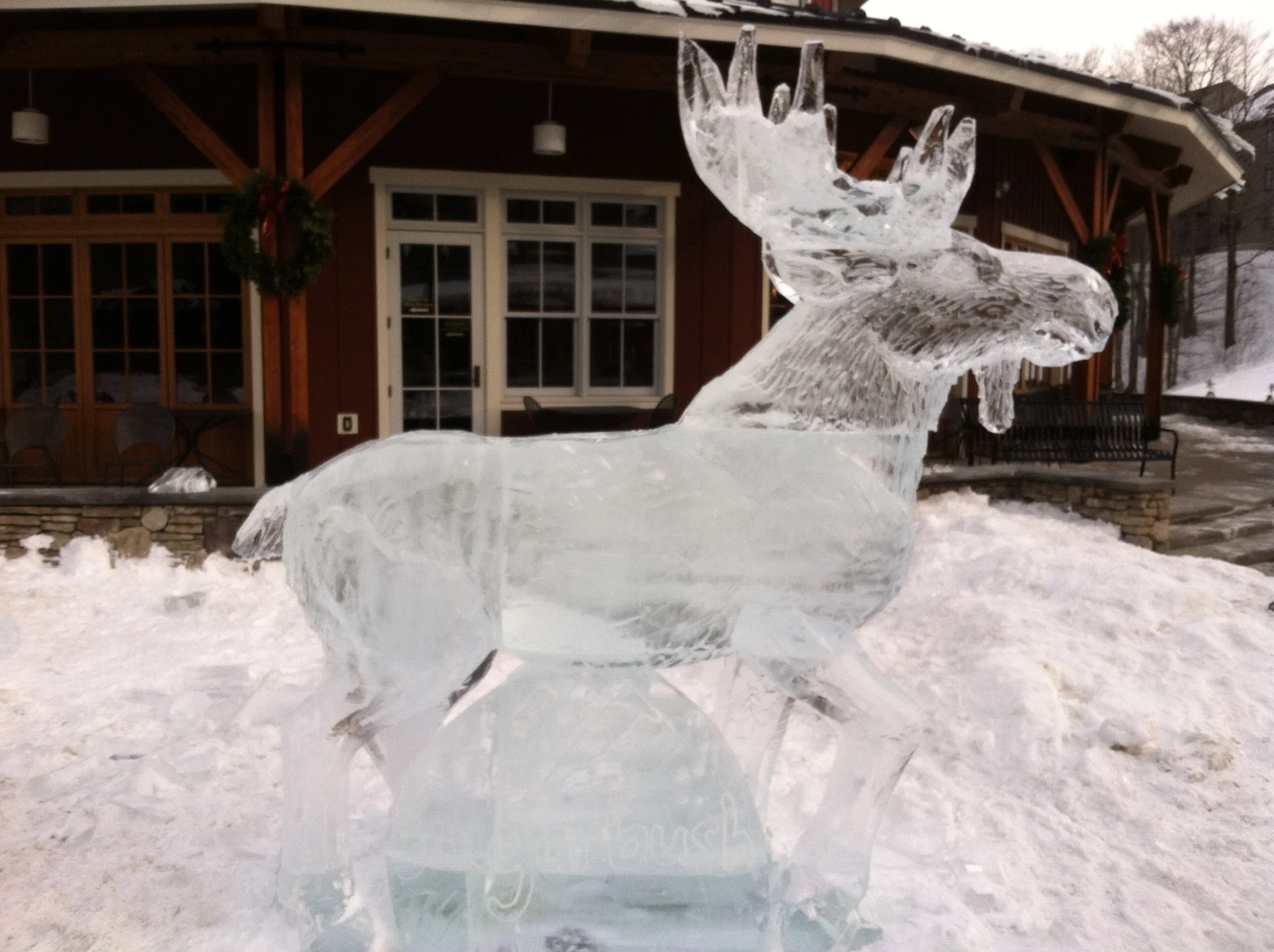 Sugar Bush Moose 2.jpg