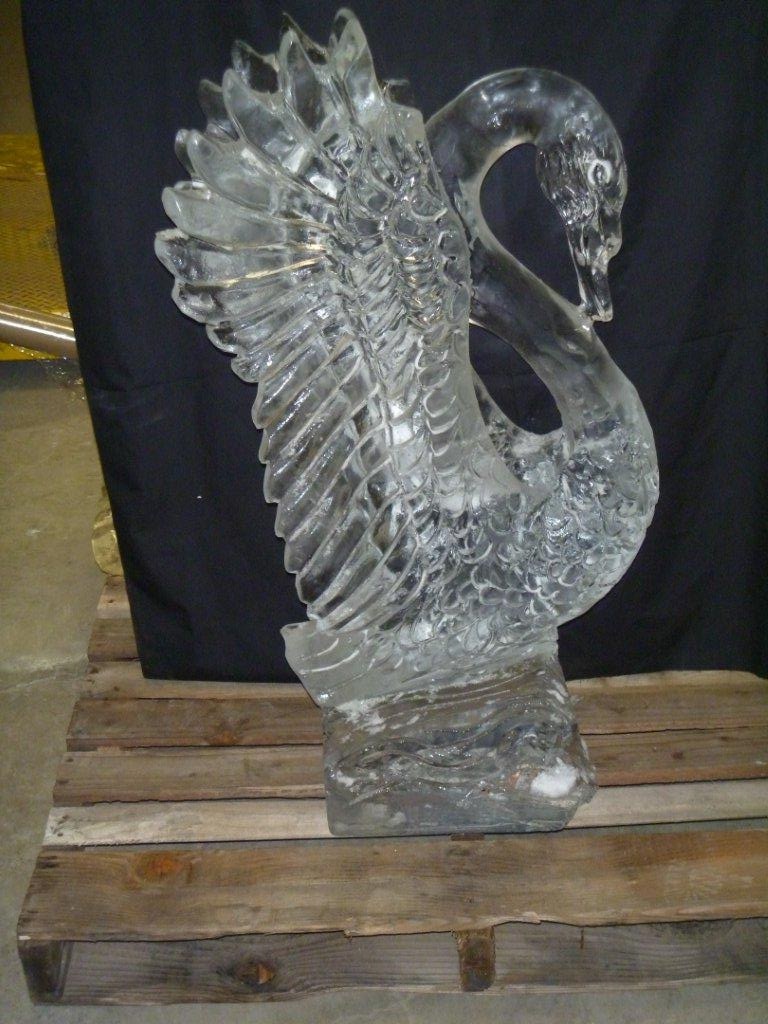 Swan.jpg