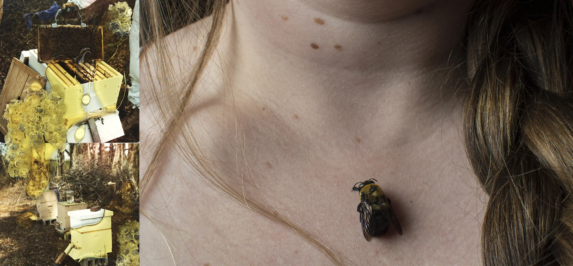 beeswcomb.jpg