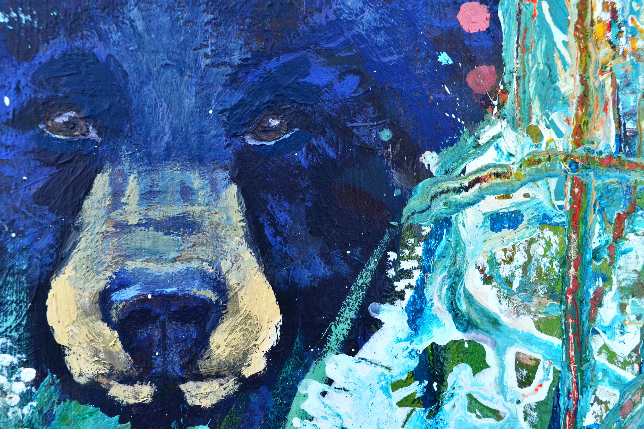 Black Bear