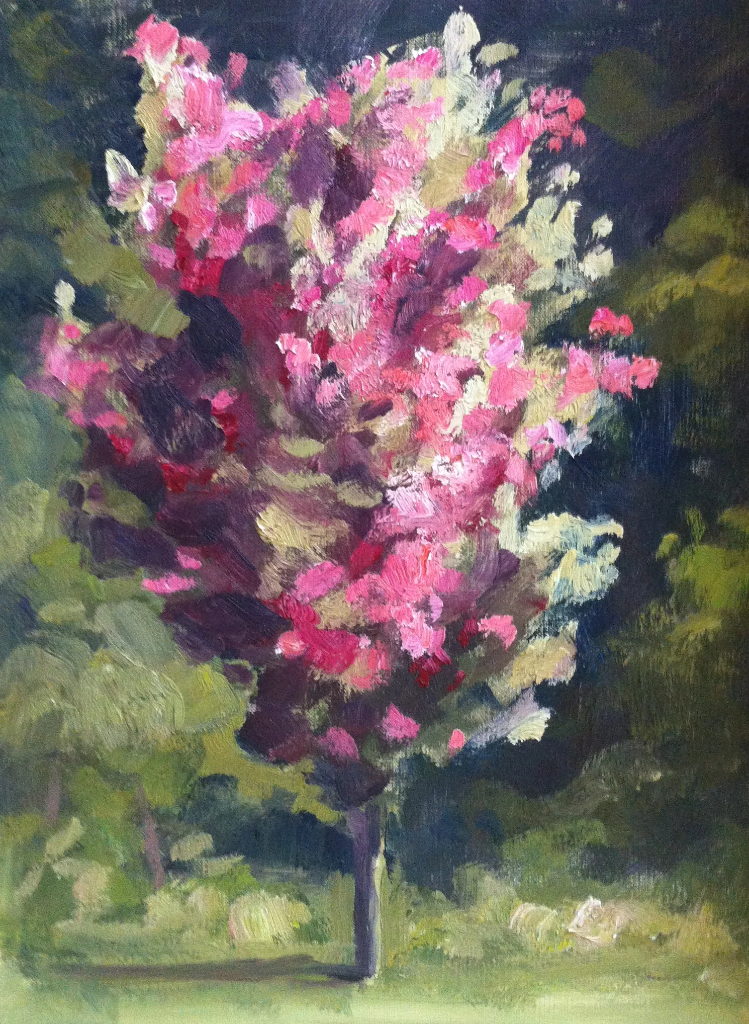 Crab Apple Tree, Oil on Canvas, 8 x 10, $225