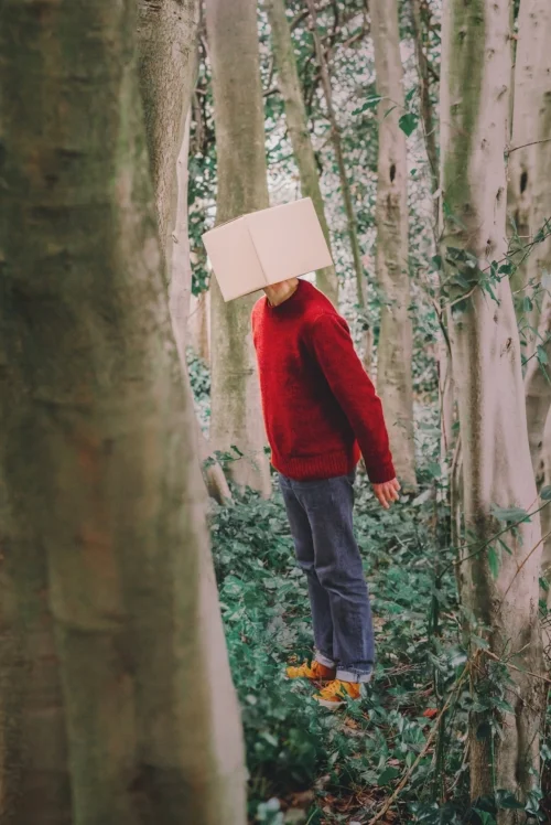 A Little Wilder by Andy Manley for the bOing! Festival