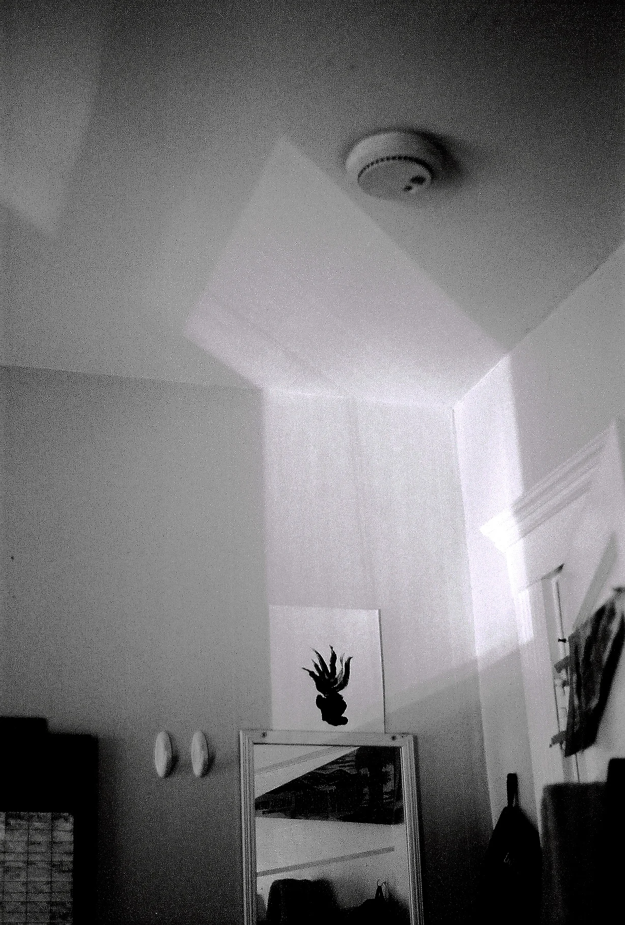 A154859_009.jpg