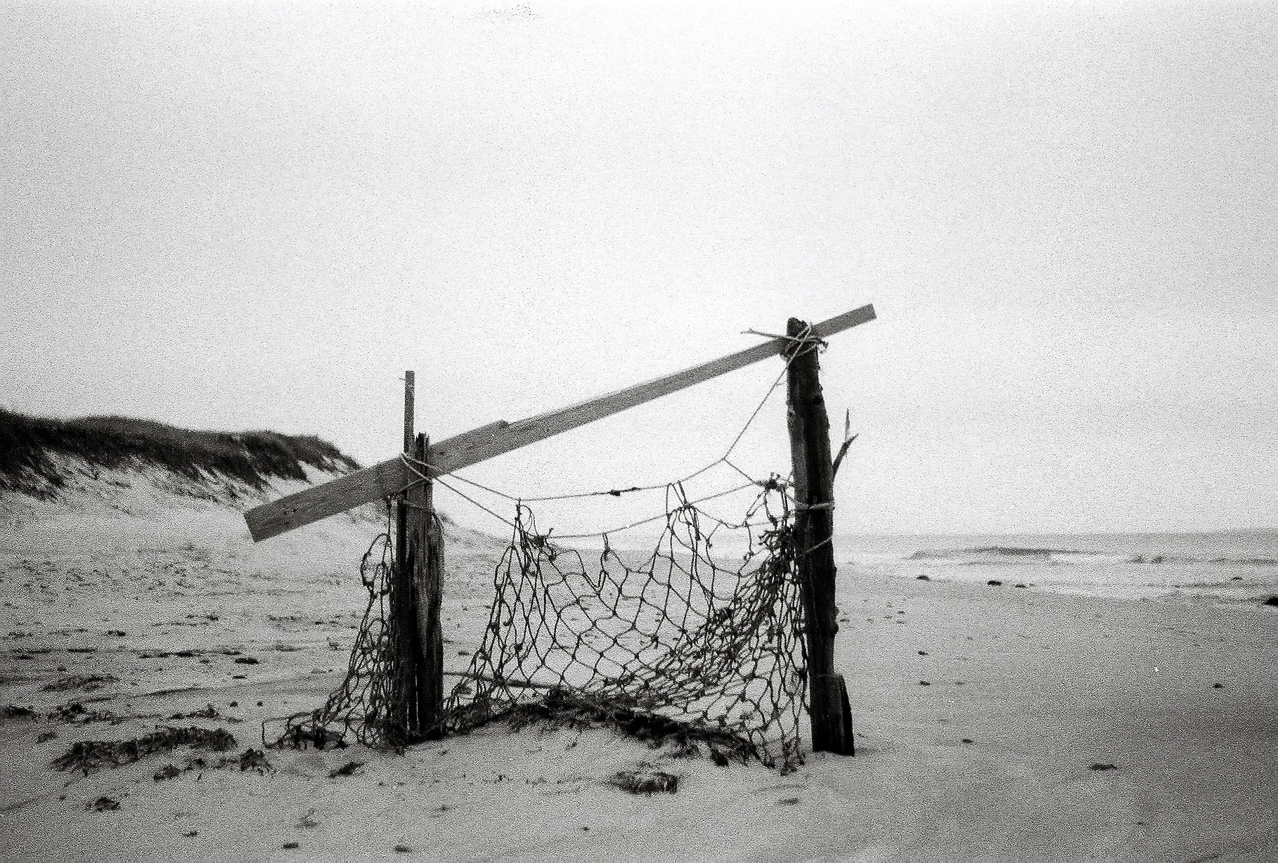 A154862_021.jpg